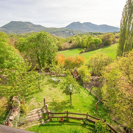 Casa Monaut, Acogedores Apartamentos A Los Pies De La Selva De Irati Сарагуэта Экстерьер фото