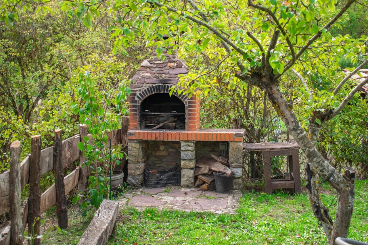 Casa Monaut, Acogedores Apartamentos A Los Pies De La Selva De Irati Сарагуэта Экстерьер фото